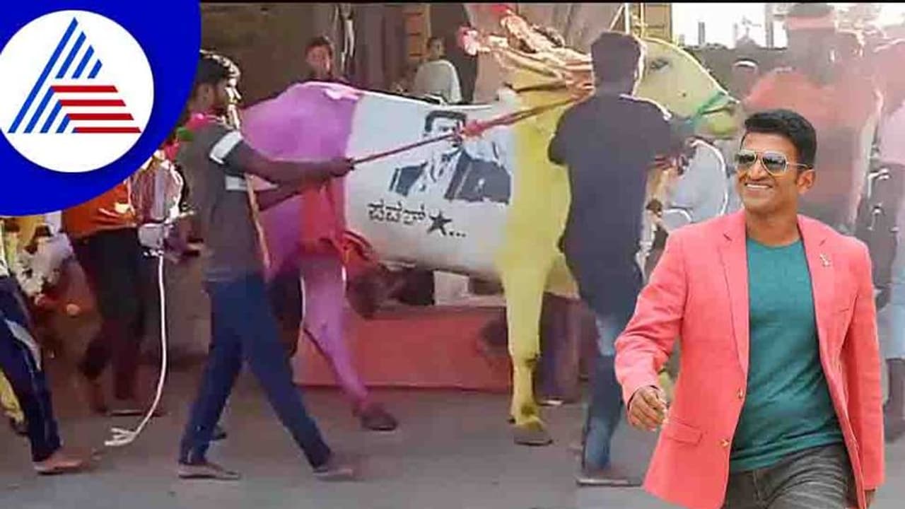 ಗುಮ್ಮಟನಗರಿಯಲ್ಲಿ ಕಾರಹುಣ್ಣಿಮೆ; ಎತ್ತಿನ ಮೇಲೆ ಅಪ್ಪು ಭಾವಚಿತ್ರ ಬಿಡಿಸಿ ರೈತನಿಂದ ಮೆರವಣಿಗೆ