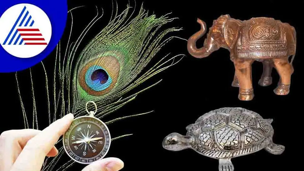 Vastu Tips: ಜೇಬಲ್ಲಿ ಸದಾ ದುಡ್ಡಿರಬೇಕೆಂದರೆ ಈ ವಸ್ತು ಮನೆಯಲ್ಲಿರಲಿ