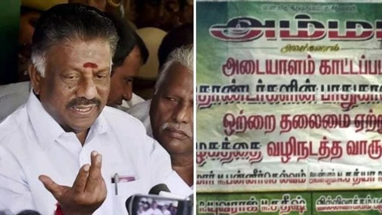 அதிமுகவின் பொதுச்செயலாளர் ஓ.பி.எஸ்..! போஸ்டர் கிழிக்கப்பட்டதால் ஆதரவாளர்கள் சாலை மறியல் அதிமுகவின் பொதுச்செயலாளர் ஓ.பி.எஸ்..! போஸ்டர் கிழிக்கப்பட்டதால் ஆதரவாளர்கள் சாலை மறியல்