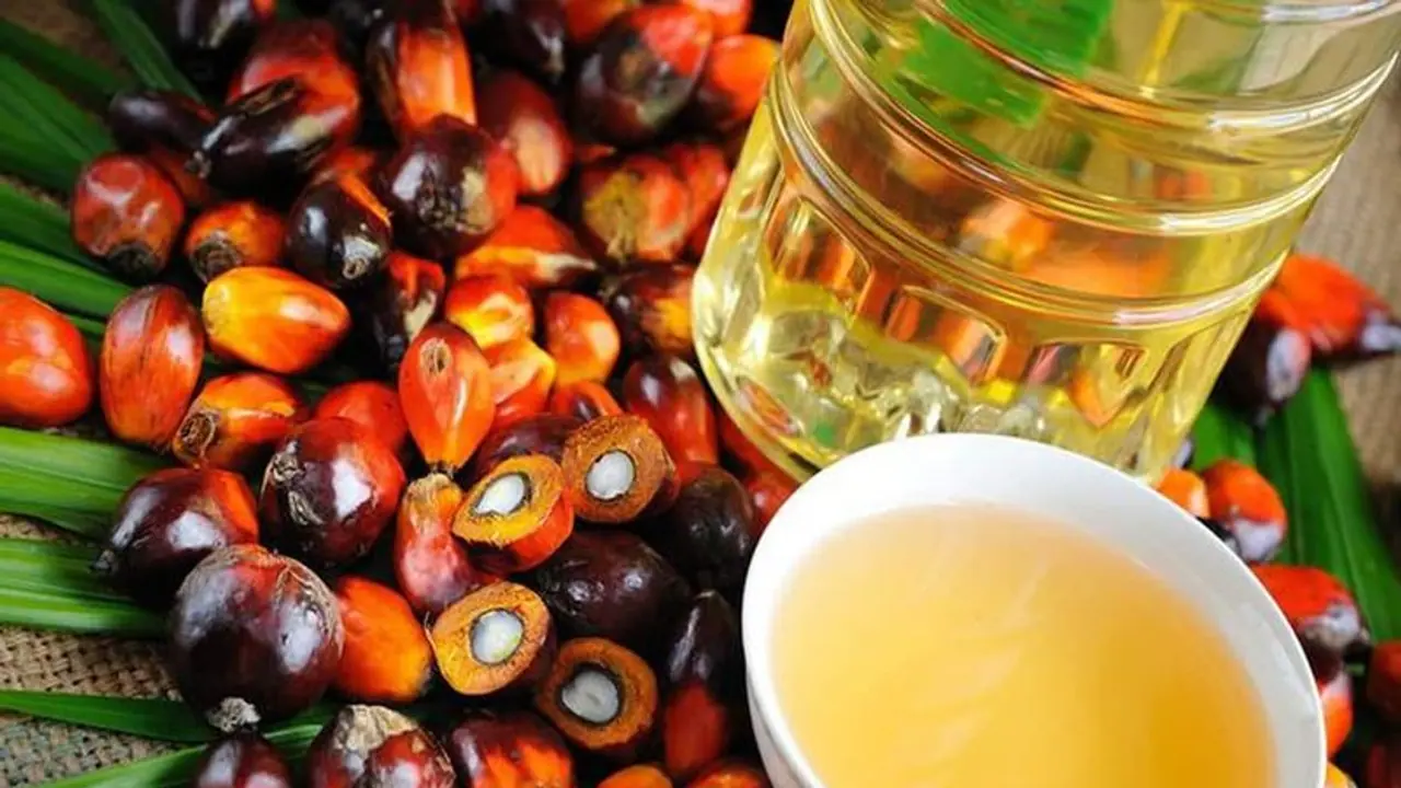 Ration kadai palm oil:ரேஷன் கடை பாமாயிலில் இருக்கும் அதிகப்படியான பித்தத்தை ஈஸியா வெளியே எடுக்க சூப்பர் டிப்ஸ் Ration kadai palm oil:ரேஷன் கடை பாமாயிலில் இருக்கும் அதிகப்படியான பித்தத்தை ஈஸியா வெளியே எடுக்க சூப்பர் டிப்ஸ்