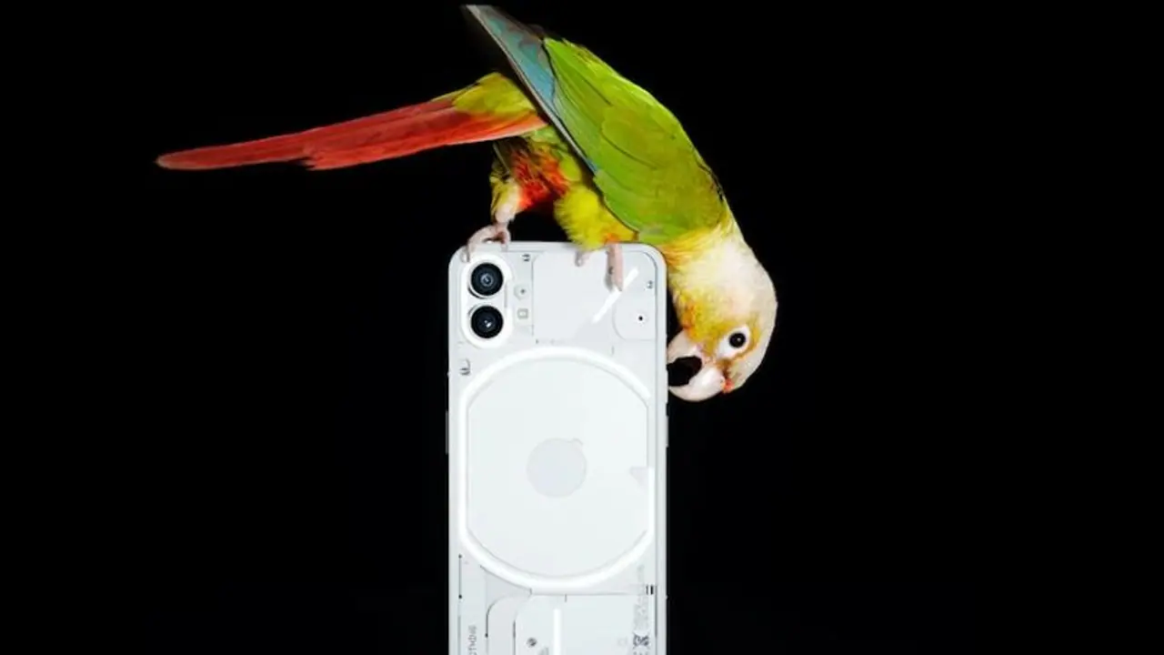 Nothing Phone (1) gets first software update; fixes bugs, other issues, improves camera experience