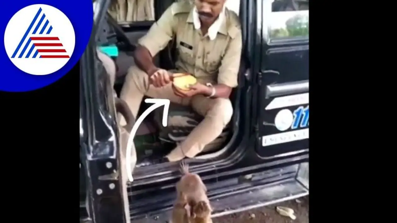 ಕೋತಿಗೆ ಮಾವಿನ ಹಣ್ಣು ತಿನ್ನಿಸಿದ ಪೊಲೀಸಪ್ಪ: ವಿಡಿಯೋ ವೈರಲ್