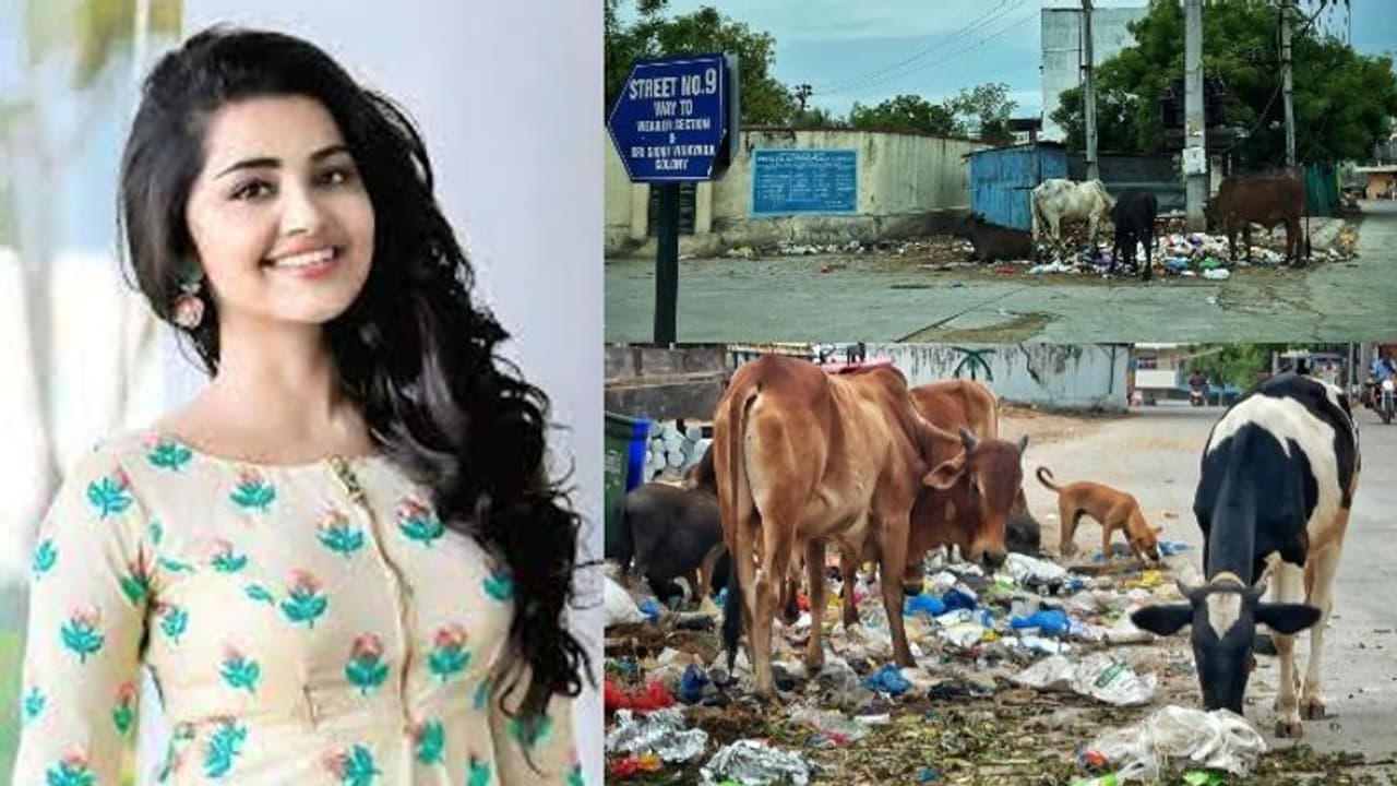 GHMC ని అడ్డంగా ఇరికించేసిన అనుపమా పరమేశ్వరన్, మండిపడుతున్న నెటిజన్లు