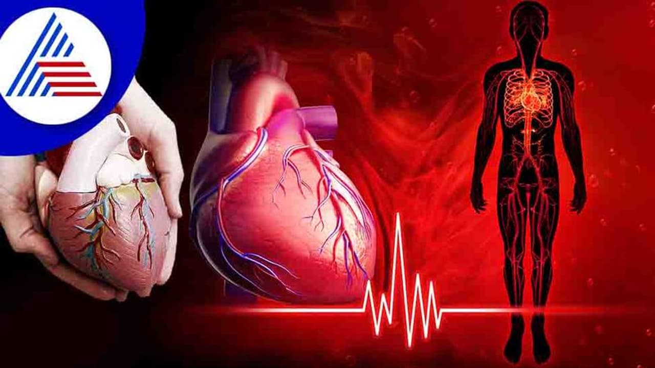ನಿಮ್ಮ ಹೃದಯದ ಬಗ್ಗೆ ನಿಮಗೇನು ಗೊತ್ತು? ನಿಮ್ಮ ಹೃದಯದ ಬಗ್ಗೆ ನಿಮಗೇನು ಗೊತ್ತು?