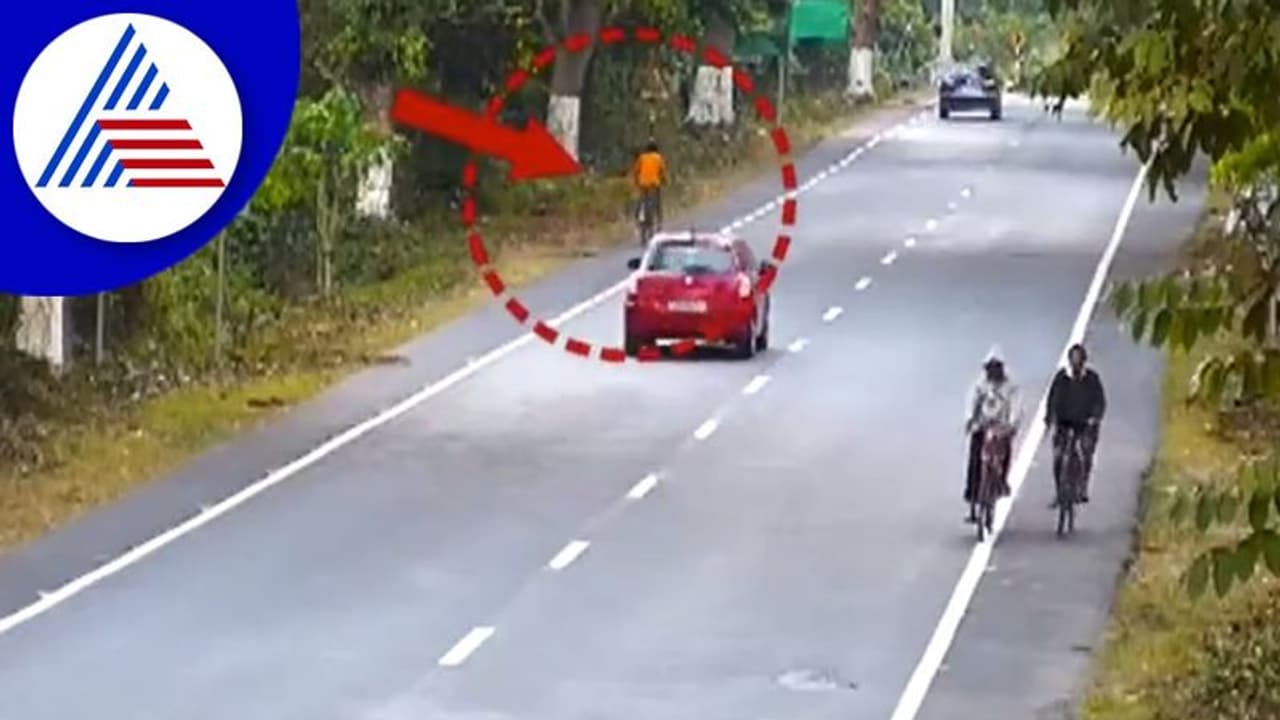 ಧುತ್ತನೇ ಬಂದು ಸೈಕಲ್ ಸವಾರನ ಮೇಲೆರಗಿದ ಚೀತಾ: ವಿಡಿಯೋ ನೋಡಿ