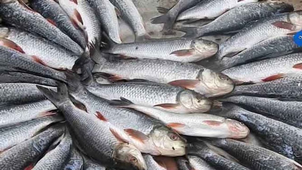 ಉಡುಪಿಯಲ್ಲಿ ನಿರಂತರ ಗಾಳಿ ಮಳೆ, ಮೀನಿನ ದರ ದುಪ್ಪಟ್ಟು