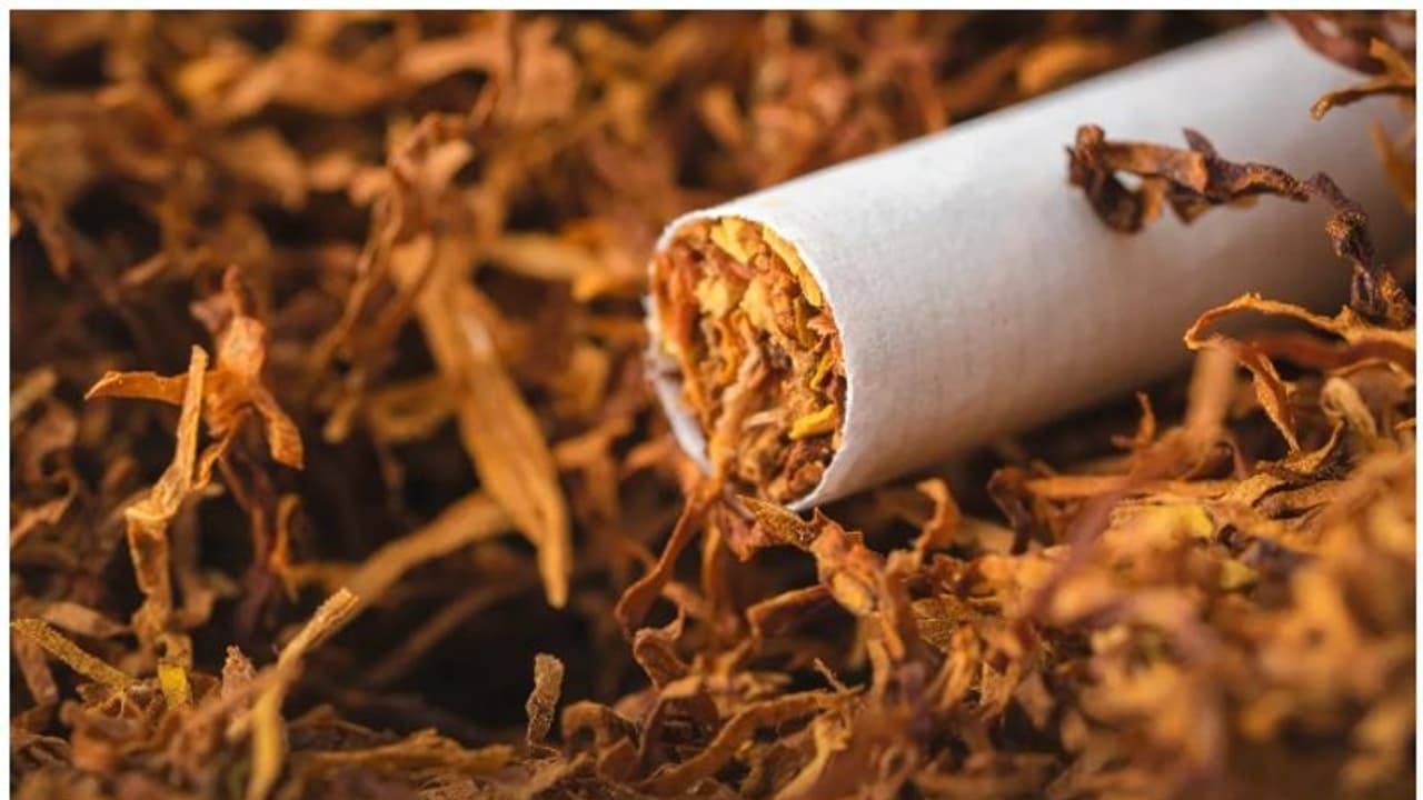 ಪಾನ್ ಮಸಾಲ, ತಂಬಾಕು ಉತ್ಪಾದಕರಿಗೆ ತೆರಿಗೆ ವಂಚಿಸದಂತೆ ಮೂಗುದಾರ; ಈ ಕೆಲ್ಸ ಮಾಡದಿದ್ರೆ ಬೀಳುತ್ತೆ ಒಂದು ಲಕ್ಷ ದಂಡ ಪಾನ್ ಮಸಾಲ, ತಂಬಾಕು ಉತ್ಪಾದಕರಿಗೆ ತೆರಿಗೆ ವಂಚಿಸದಂತೆ ಮೂಗುದಾರ; ಈ ಕೆಲ್ಸ ಮಾಡದಿದ್ರೆ ಬೀಳುತ್ತೆ ಒಂದು ಲಕ್ಷ ದಂಡ