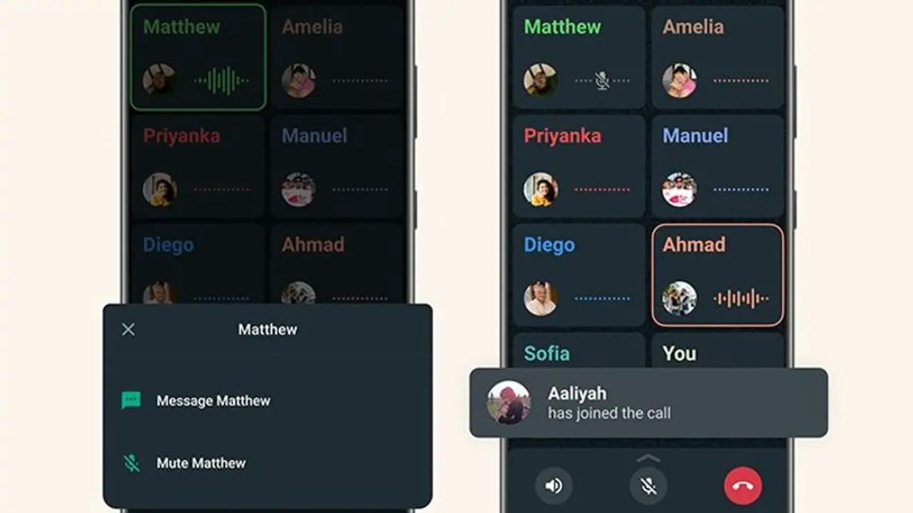 WhatsApp's latest feature allows users to mute or message anyone on group call