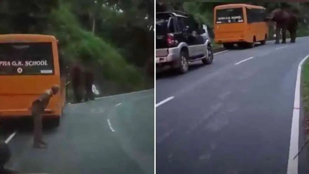 Viral video: பள்ளி குழந்தைகள் வேனை வழிமறித்த யானை.. அடுத்து நடந்த அதிர்ச்சி சம்பவம் வைரல் வீடியோ Viral video: பள்ளி குழந்தைகள் வேனை வழிமறித்த யானை.. அடுத்து நடந்த அதிர்ச்சி சம்பவம் வைரல் வீடியோ