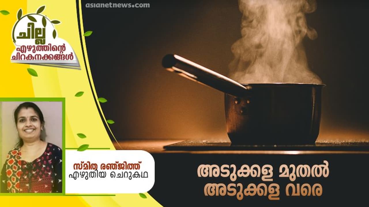 Malayalam Short Story : അടുക്കള മുതല്‍ അടുക്കള വരെ, സ്മിത രഞ്ജിത്ത് എഴുതിയ ചെറുകഥ