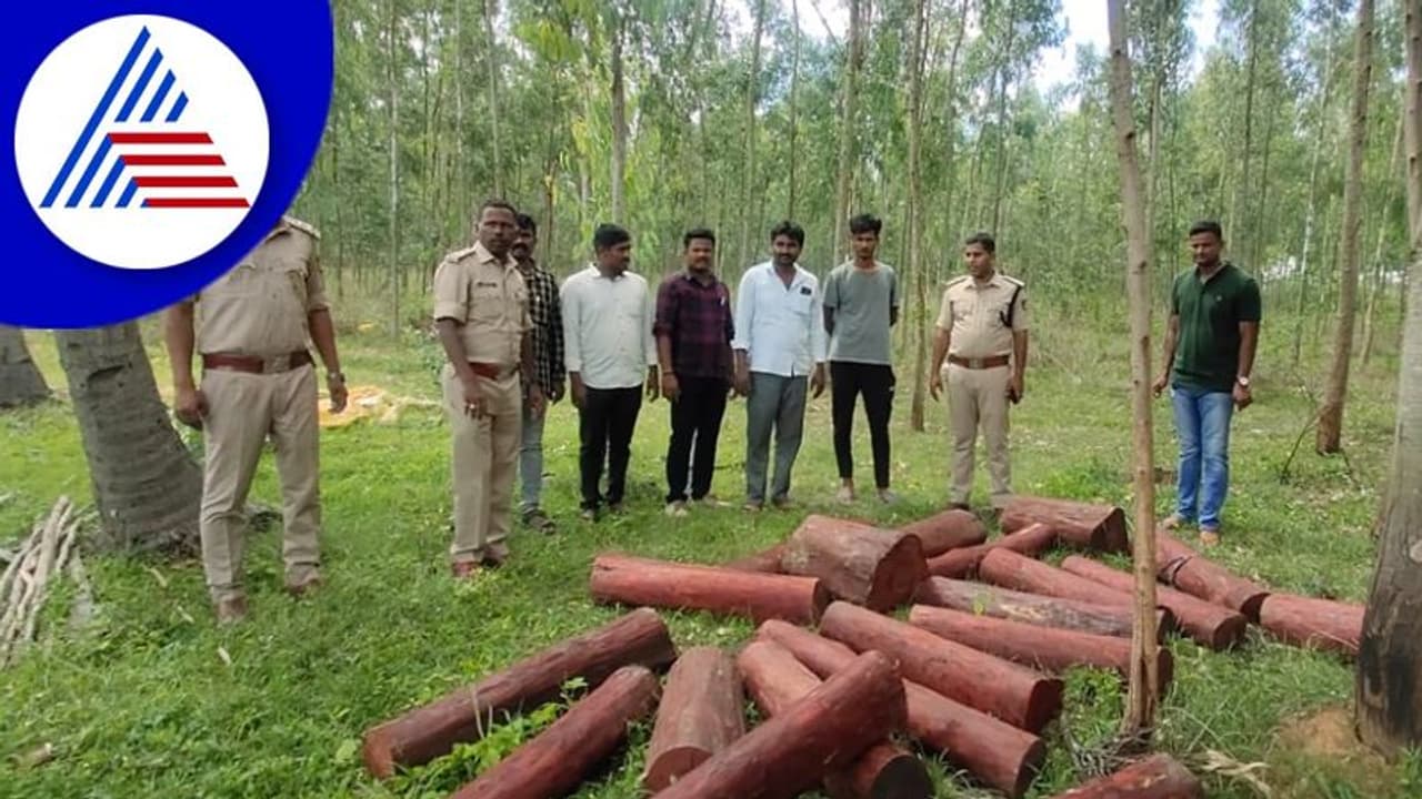 Hosakote ಪೊಲೀಸರ ಭರ್ಜರಿ ಕಾರ್ಯಾಚರಣೆ: ಕೋಟ್ಯಾಂತರ ರೂ. ಮೌಲ್ಯದ ರಕ್ತ ಚಂದನ ವಶ