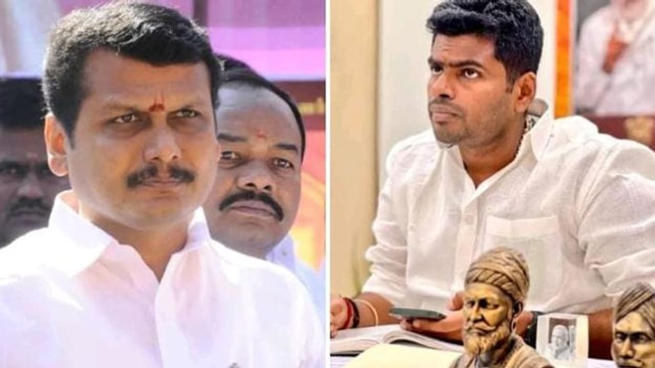 நீங்கள் செல்வச் செழிப்புடன் இருக்க மக்களை அவதிக்குள்ளாக்குவதா..! மின் கட்டண உயர்வுக்கு எதிராக சீறிய அண்ணாமலை நீங்கள் செல்வச் செழிப்புடன் இருக்க மக்களை அவதிக்குள்ளாக்குவதா..! மின் கட்டண உயர்வுக்கு எதிராக சீறிய அண்ணாமலை