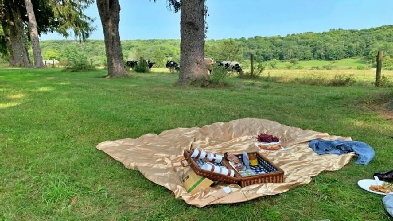 कर लीजिए बैग पैक International Picnic Day पर हम आपको बता रहे हैं दुनिया के 5 बेस्ट पिकनिक स्पॉट कर लीजिए बैग पैक International Picnic Day पर हम आपको बता रहे हैं दुनिया के 5 बेस्ट पिकनिक स्पॉट