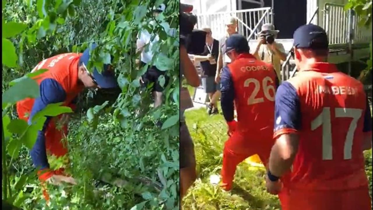  ഡേവിഡ് മലന്‍ അടിച്ച സിക്സ് ചെന്നുവീണത് പൊന്തക്കാട്ടില്‍, പന്ത് തെരഞ്ഞെടുത്ത് നെതര്‍ലന്‍ഡ്സ് താരങ്ങള്‍