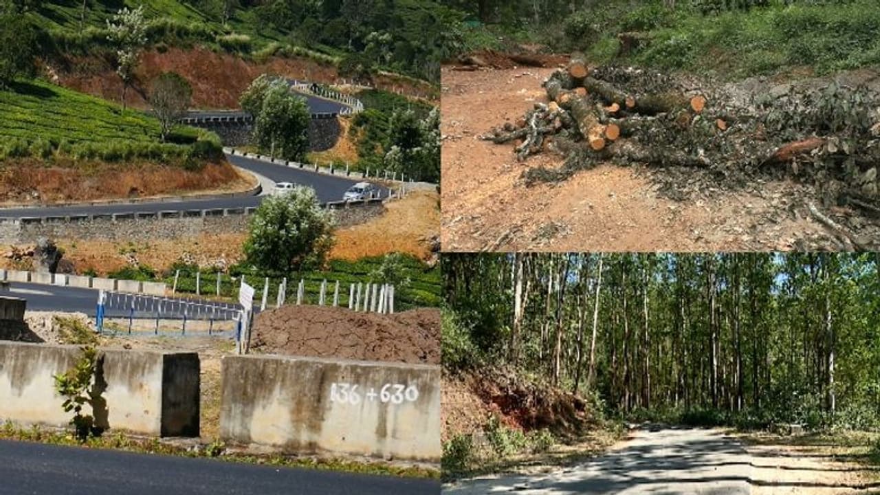 വകുപ്പുകൾ തമ്മിലെ വടംവലി അവസാനിച്ചു; കൊച്ചി ധനുഷ്കോടി പാതയിൽ മരങ്ങൾ മുറിച്ചുമാറ്റി വകുപ്പുകൾ തമ്മിലെ വടംവലി അവസാനിച്ചു; കൊച്ചി ധനുഷ്കോടി പാതയിൽ മരങ്ങൾ മുറിച്ചുമാറ്റി