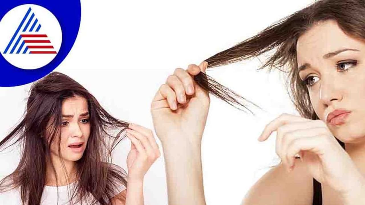 ಮಹಿಳೆಯರಲ್ಲಿ ಕಾಡುವ ತಳ್ಳನೆ ಕೂದಲ ಸಮಸ್ಯೆ! ಕಾರಣ ಇಲ್ಲಿದೆ! ಮಹಿಳೆಯರಲ್ಲಿ ಕಾಡುವ ತಳ್ಳನೆ ಕೂದಲ ಸಮಸ್ಯೆ! ಕಾರಣ ಇಲ್ಲಿದೆ!