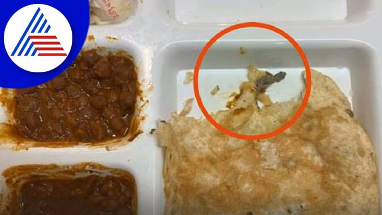 ವೈದ್ಯರಿಗೆ ಆಹಾರದಲ್ಲಿ ಸಿಕ್ತು ಹಲ್ಲಿ: ಫೇಮಸ್‌ ಮಾಲ್‌ನ ರೆಸ್ಟೋರೆಂಟ್‌ನಲ್ಲಿ ಘಟನೆ