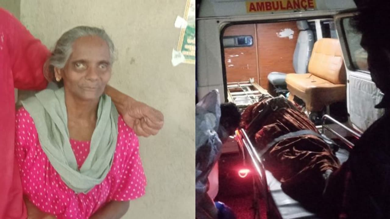 ഇടുക്കിയില് പേവിഷ ബാധയേറ്റ് വീട്ടമ്മ മരിച്ചു; പേപ്പട്ടിയുടെ കടിയേറ്റത് രണ്ട് മാസം മുമ്പ് ഇടുക്കിയില് പേവിഷ ബാധയേറ്റ് വീട്ടമ്മ മരിച്ചു; പേപ്പട്ടിയുടെ കടിയേറ്റത് രണ്ട് മാസം മുമ്പ്