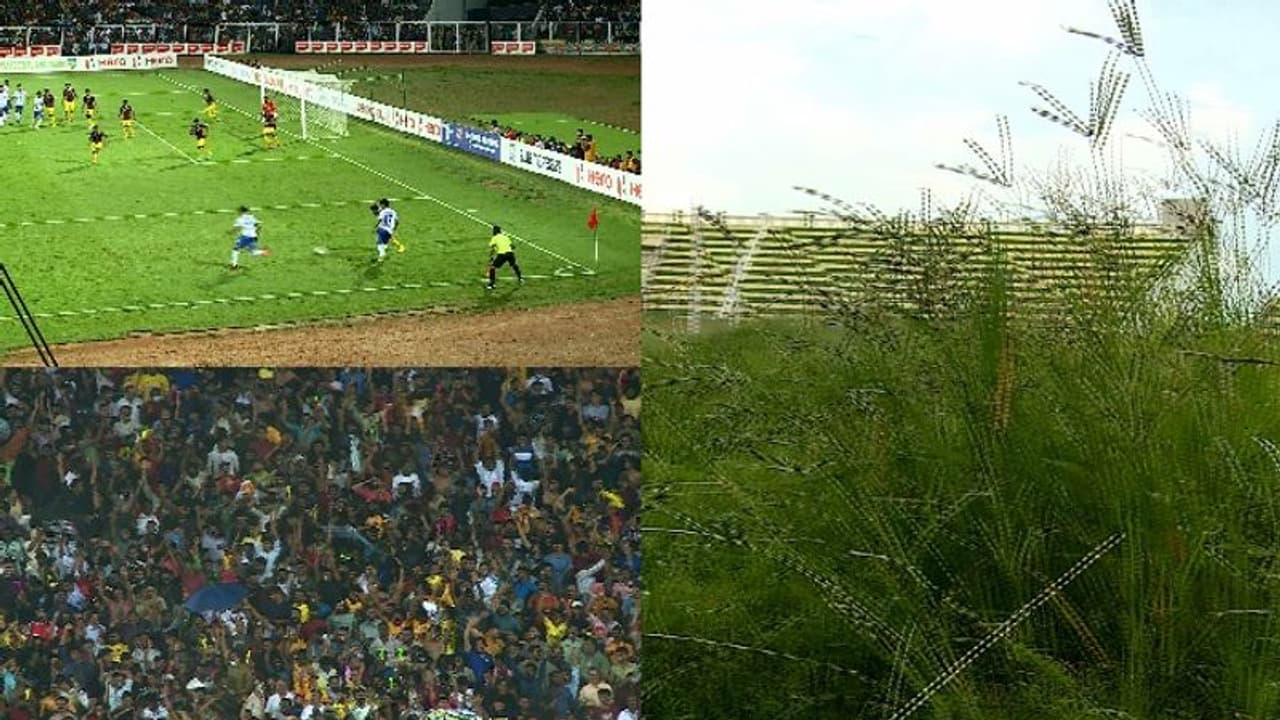 മുട്ടോളം പുല്ല്, ഇഴജന്തുക്കളുടെ താവളം: പയ്യനാട് സ്റ്റേഡിയത്തിൽ ഉറപ്പുകൾ പാഴ്‌വാക്കായി