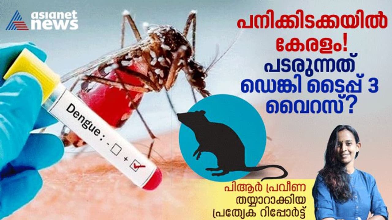  സംസ്ഥാനത്ത് ഡെങ്കിപ്പനിയുടെ വ്യാപനമെന്ന് സൂചന; ജാഗ്രതയില്ലെങ്കിൽ അതിതീവ്ര വ്യാപനമെന്ന് വിദഗ്ധ മുന്നറിയിപ്പ് 