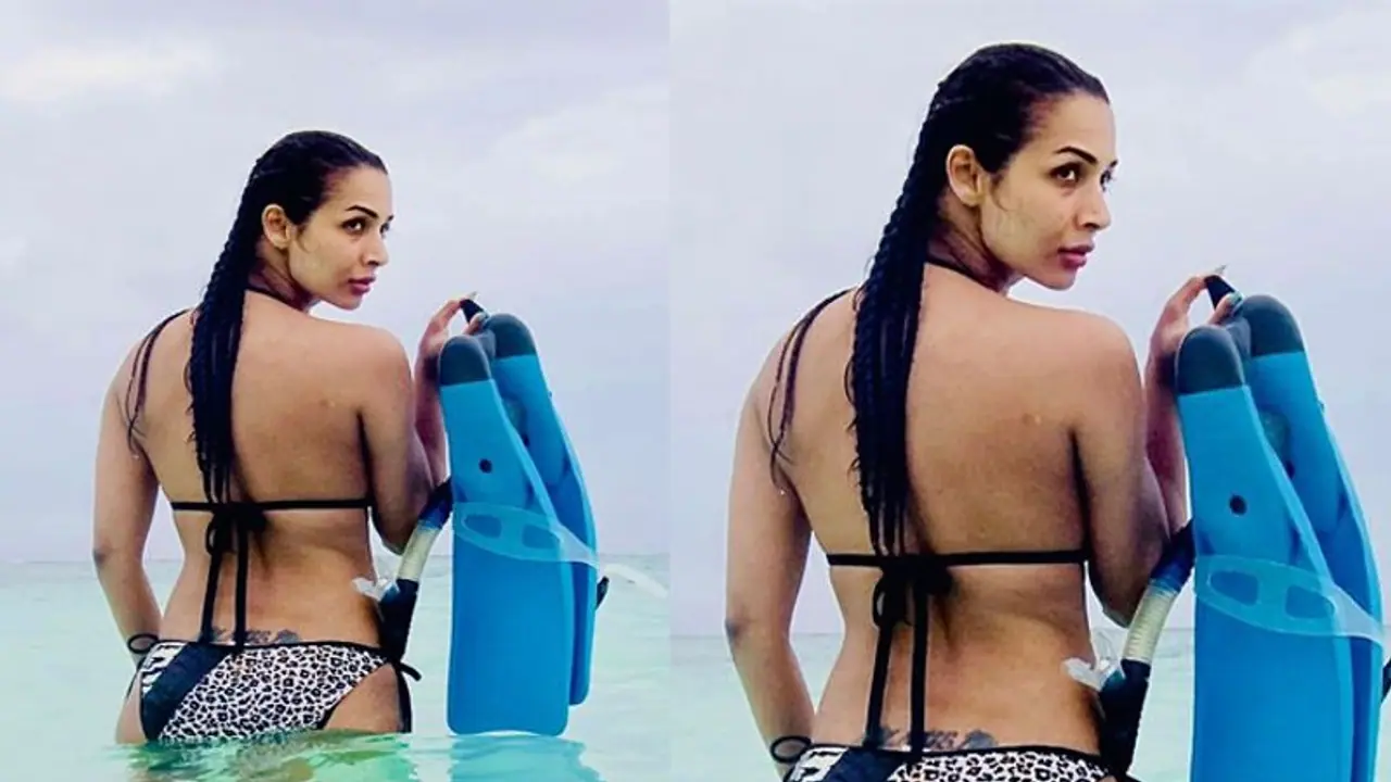 समुंदर में उतर मलाइका अरोड़ा ने बोल्डनेस से मचाई इंटरनेट पर खलबली, इनसे नहीं रहा गया तो पूछा ऐसा सवाल समुंदर में उतर मलाइका अरोड़ा ने बोल्डनेस से मचाई इंटरनेट पर खलबली, इनसे नहीं रहा गया तो पूछा ऐसा सवाल