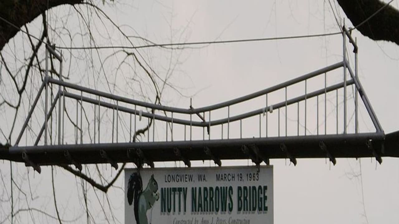 ऐसा देश जहां गिलहरियों के आने जाने के लिए बनाया गया है ब्रिज..पढ़िए ऐसे ही दिलचस्प सवालों का जवाब ऐसा देश जहां गिलहरियों के आने जाने के लिए बनाया गया है ब्रिज..पढ़िए ऐसे ही दिलचस्प सवालों का जवाब