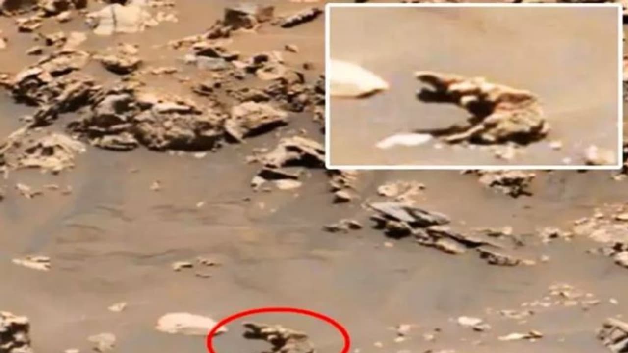 मंगल पर दिखा अजीबो गरीब जानवर, नासा ने शेयर की फोटो मंगल पर दिखा अजीबो गरीब जानवर, नासा ने शेयर की फोटो