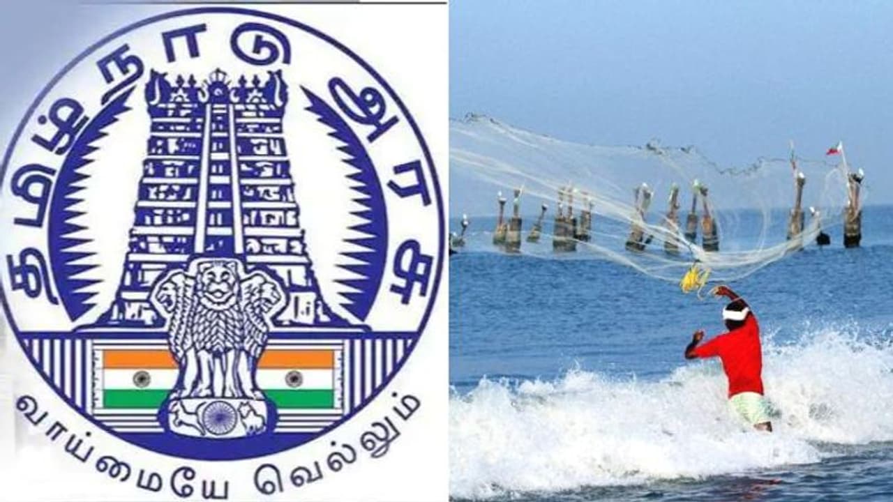 மீனவர்களுக்கான தனி வங்கி தொடங்கப்படும் அமைச்சர் வெளியிட்ட சூப்பர் அறிவிப்பு மீனவர்களுக்கான தனி வங்கி தொடங்கப்படும் அமைச்சர் வெளியிட்ட சூப்பர் அறிவிப்பு