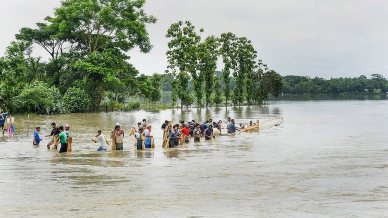 വടക്കുകിഴക്കൻ സംസ്ഥാനങ്ങളിൽ വെള്ളപ്പൊക്കം രൂക്ഷം: അസമിൽ സ്ഥിതി ഗുരുതരം വടക്കുകിഴക്കൻ സംസ്ഥാനങ്ങളിൽ വെള്ളപ്പൊക്കം രൂക്ഷം: അസമിൽ സ്ഥിതി ഗുരുതരം