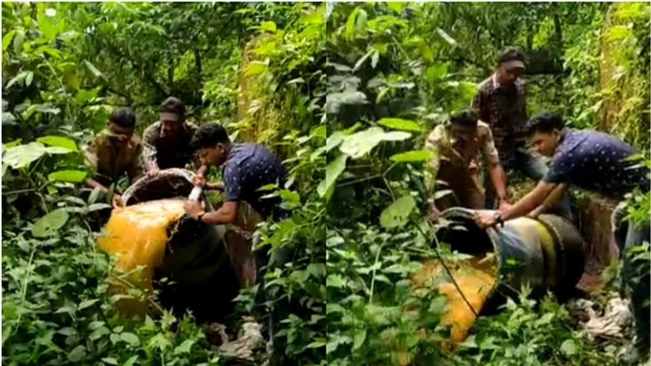 വ്യാജ വാറ്റ്; പാറക്കൂട്ടങ്ങള്‍ക്കിടയില്‍ ഒളിപ്പിച്ച 300 ലിറ്റർ വാഷ് നശിപ്പിച്ച് എക്സൈസ് സംഘം