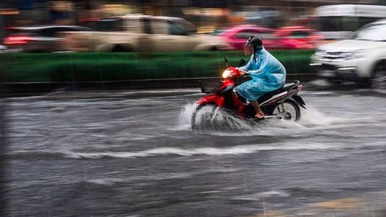 ಒಂದೇ ಮಳೆಗೆ ಸ್ವಿಮ್ಮಿಂಗ್ ಪೂಲ್‌ನಂತಾದ 200 ಕೋಟಿ ರೂಪಾಯಿ ವೆಚ್ಚದ ಸೇತುವೆ!