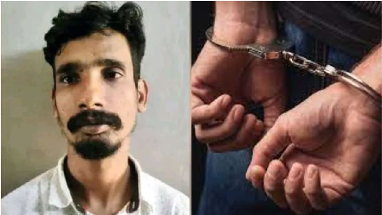 പതിമൂന്ന് വയസുകാരനെ പ്രകൃതിവിരുദ്ധ പീഡനത്തിനിരയാക്കി; മലപ്പുറത്ത് യുവാവ് പിടിയില് പതിമൂന്ന് വയസുകാരനെ പ്രകൃതിവിരുദ്ധ പീഡനത്തിനിരയാക്കി; മലപ്പുറത്ത് യുവാവ് പിടിയില്