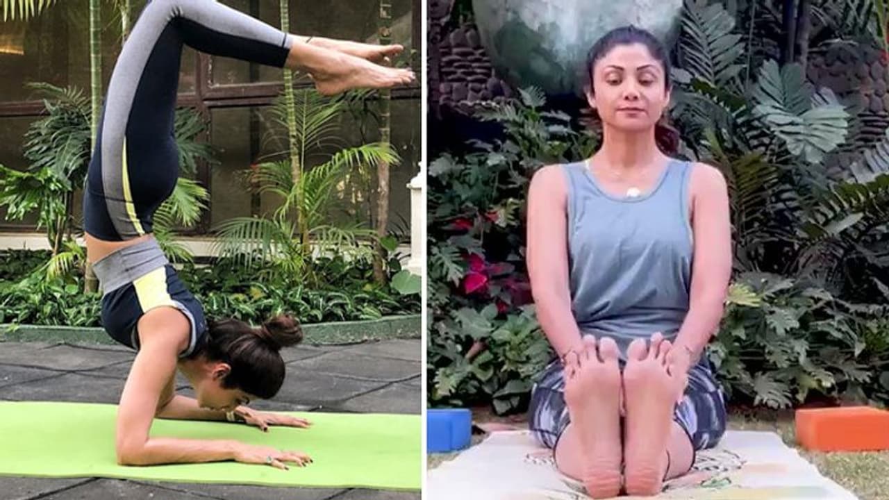स्लिम फिगर और चेहरे पर ग्लो बनाए रखने के लिए अपनाएं शिल्पा शेट्टी का योगा रुटीन, जानें क्या है खास स्लिम फिगर और चेहरे पर ग्लो बनाए रखने के लिए अपनाएं शिल्पा शेट्टी का योगा रुटीन, जानें क्या है खास