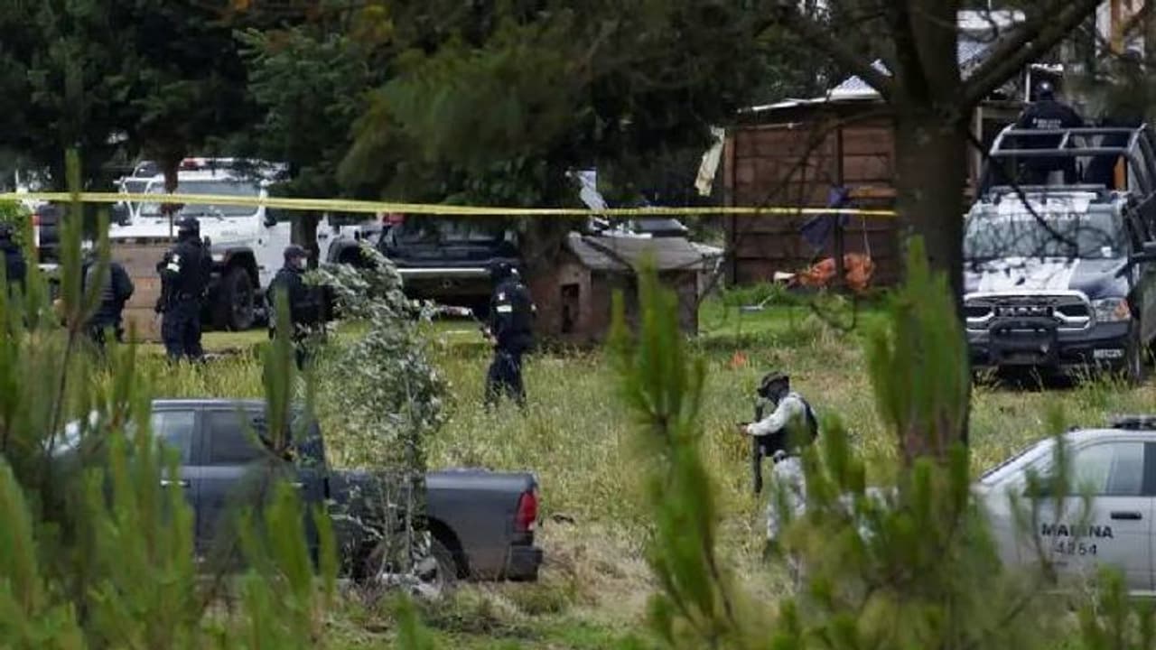 ക്രിമിനലുകൾക്കൊപ്പം കൊല്ലപ്പെട്ട് കുരങ്ങൻ, ധരിച്ചിരിക്കുന്നത് ബുള്ളറ്റ് പ്രൂഫ് വസ്ത്രം, സോഷ്യൽമീഡിയയിൽ ചർച്ച ക്രിമിനലുകൾക്കൊപ്പം കൊല്ലപ്പെട്ട് കുരങ്ങൻ, ധരിച്ചിരിക്കുന്നത് ബുള്ളറ്റ് പ്രൂഫ് വസ്ത്രം, സോഷ്യൽമീഡിയയിൽ ചർച്ച