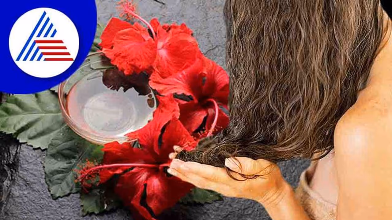 Hair Care: ಕೂದಲ ಆರೈಕೆಗೆ ದಾಸವಾಳದಂಥ ಮದ್ದು ಮತ್ತೊಂದಿಲ್ಲ!