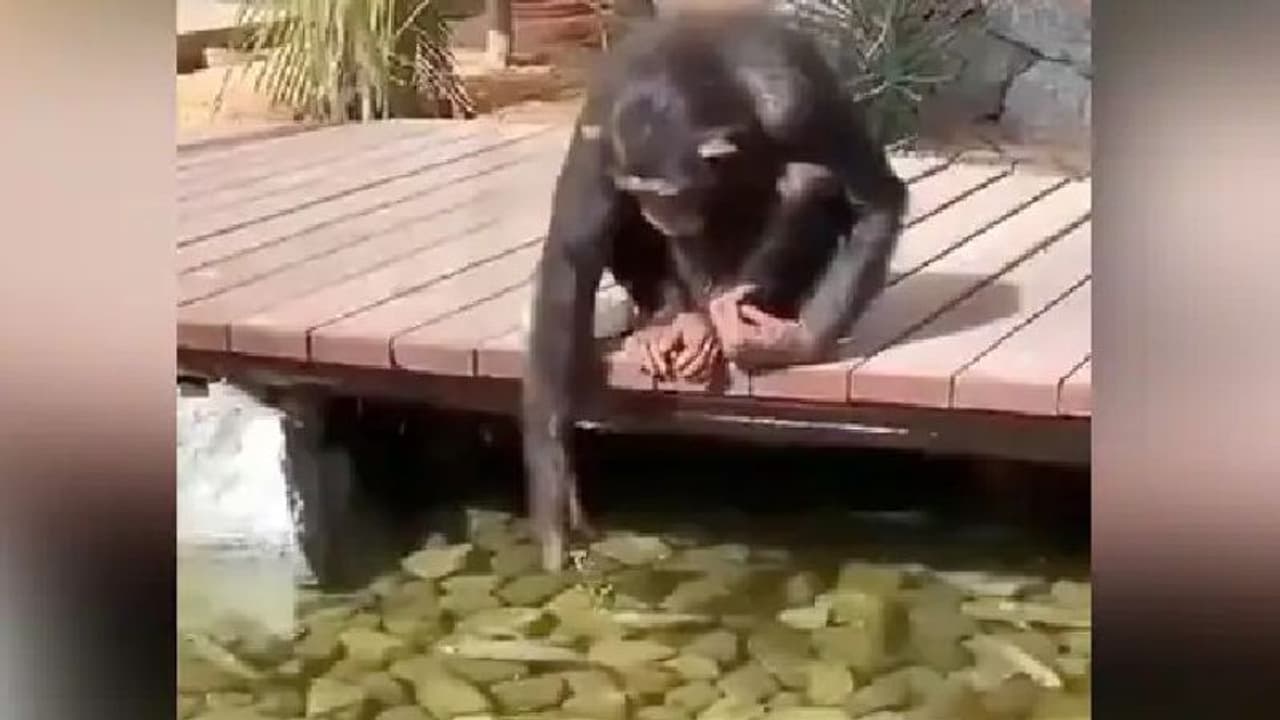 ഈ വീഡിയോ ഉറപ്പായും നിങ്ങളുടെ കുഞ്ഞുങ്ങളെ കാണിക്കണേ...