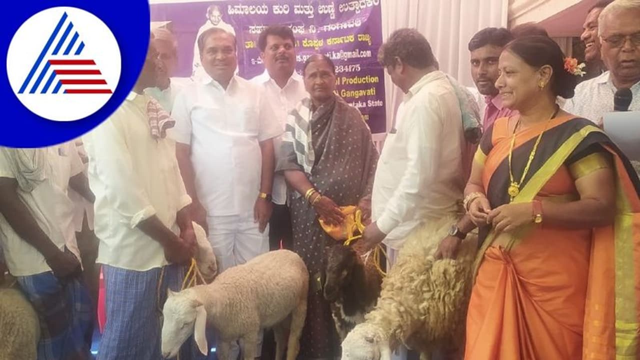 Koppal: ದೇಶದ ಎರಡನೇ ನಾರಿ ಸುವರ್ಣ ಕುರಿ ಸಂವರ್ಧನಾ ಕೇಂದ್ರ ಆರಂಭ