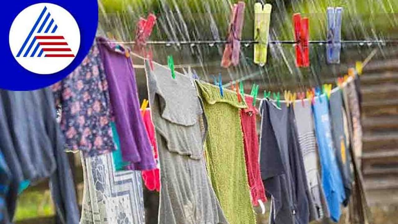 Monsoon Tips: இனி மழைக்காலத்தில் ஆடைகளை உலர்த்த மின்விசிறி தேவை இல்லை; பூண்டு போதும்!!