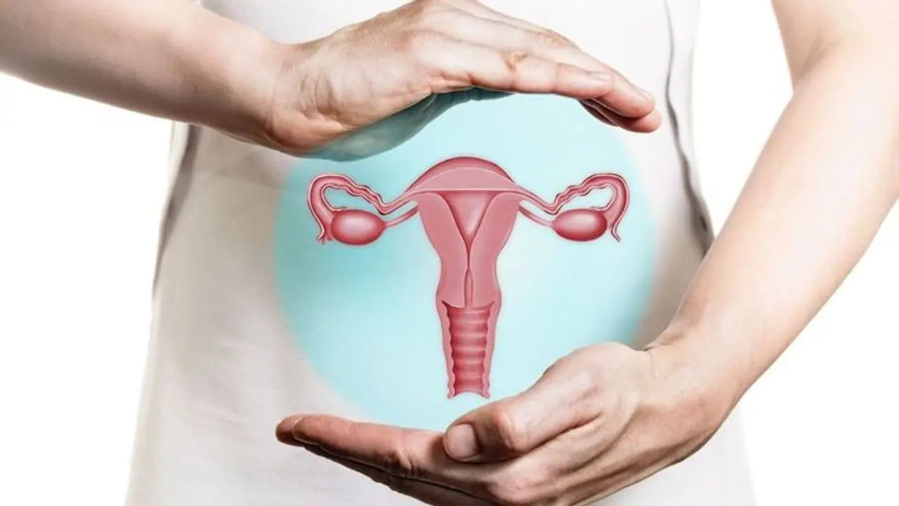 Cervical Cancer Symptoms : സെര്‍വിക്കല്‍ കാന്‍സർ; ഈ ലക്ഷണങ്ങൾ അവ​ഗണിക്കരുത്