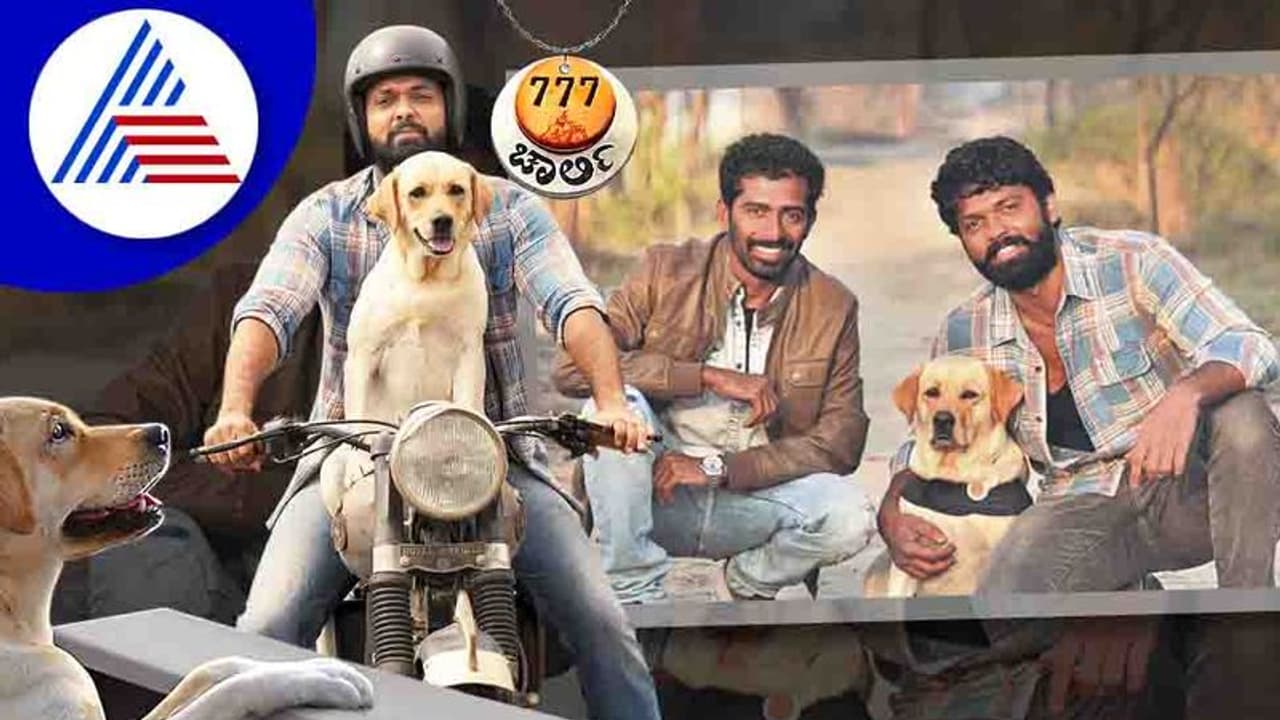 777 ಚಾರ್ಲಿ ಎಫೆಕ್ಟ್: ಲ್ಯಾಬ್ರಡಾರ್ ನಾಯಿಗೆಲ್ಲಿಲ್ಲದ ಡಿಮ್ಯಾಂಡ್: ಚಿತ್ರ ತಂಡಕ್ಕೆ ಪೇಚಾಟ!