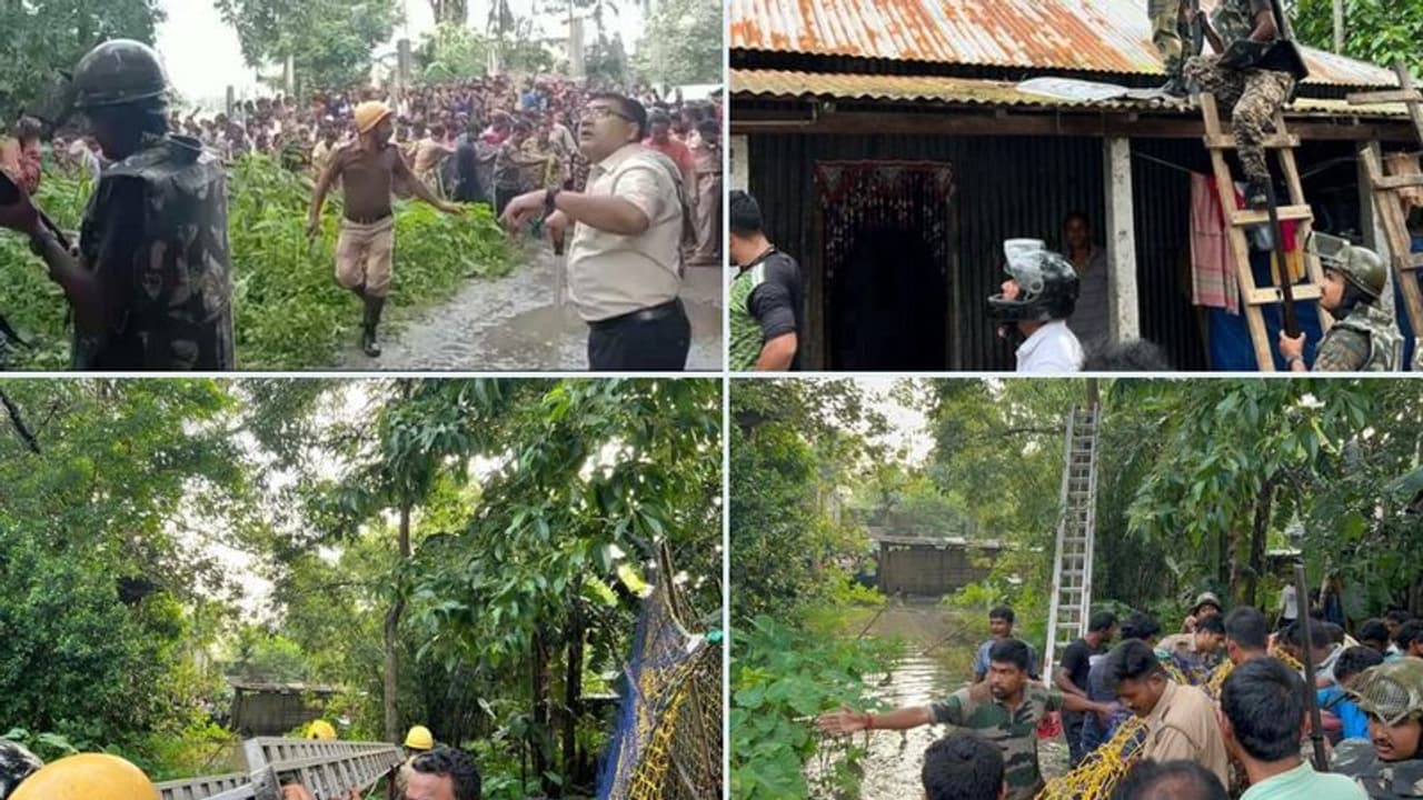 ಮಾವಿನ ಮರವೇರಿದ ಚಿರತೆ: ಬರೋಬರಿ 8 ಗಂಟೆ ನಡೆಯಿತು ರಕ್ಷಣಾ ಕಾರ್ಯ