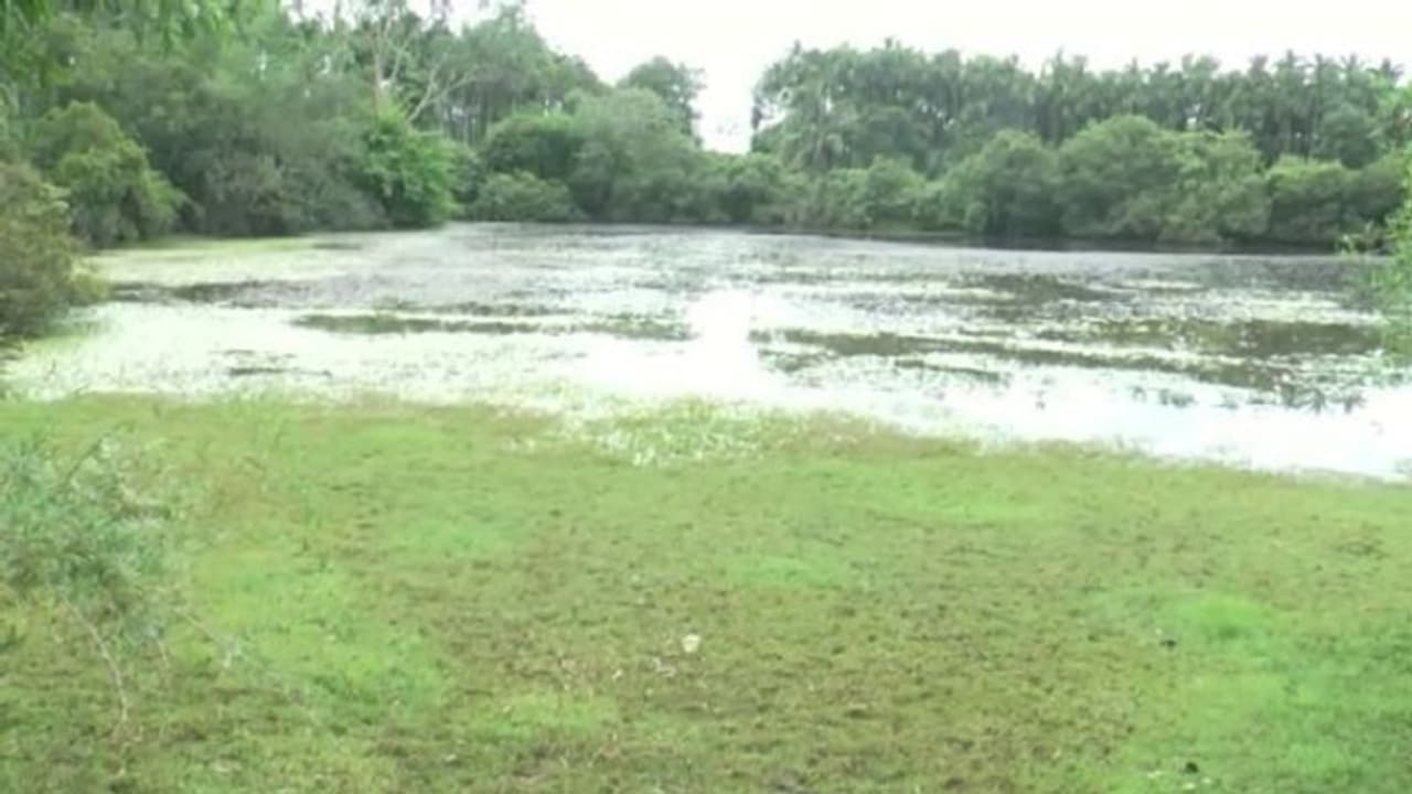 ಕೊಲೆ ಕೇಸಿಗಾಗಿ ಕೆರೆ ನೀರು ಖಾಲಿ: ತಾವೇ ಹೂತಿದ್ದ ಶವ ತೆಗೆಯಲು ಪೊಲೀಸ್‌ ಕಸರತ್ತು