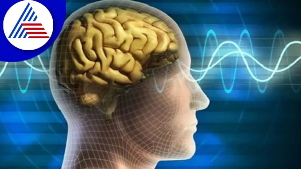 World Brain Day: ಎಲ್ಲಾ ಮರೆತ್ ಹೋಗ್ತಿದೆ ಅನ್ನೋದಲ್ಲ, ಮೆದುಳನ್ನು ಆರೋಗ್ಯವಾಗಿಟ್ಟುಕೊಳ್ಳಿ World Brain Day: ಎಲ್ಲಾ ಮರೆತ್ ಹೋಗ್ತಿದೆ ಅನ್ನೋದಲ್ಲ, ಮೆದುಳನ್ನು ಆರೋಗ್ಯವಾಗಿಟ್ಟುಕೊಳ್ಳಿ