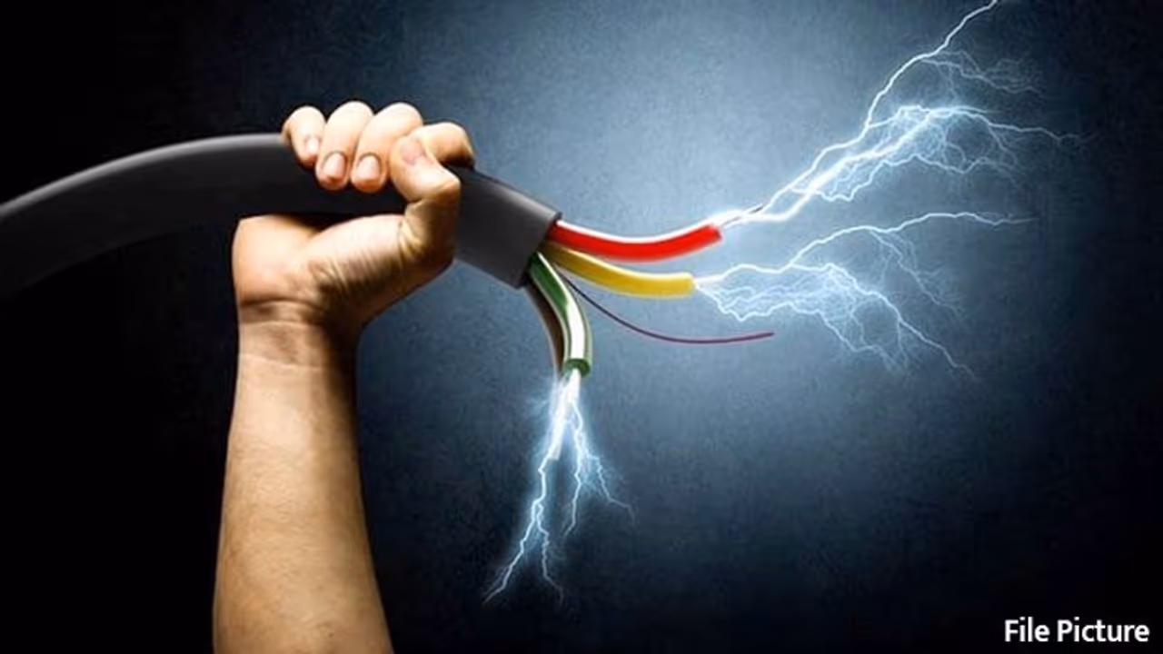 പാലക്കാട്ട് യുവാവ് കൃഷിയിടത്തിൽ ഷോക്കേറ്റ് മരിച്ച നിലയിൽ, നാട്ടുകാരൻ കീഴടങ്ങി 