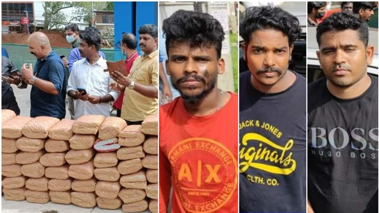 തലസ്ഥാനത്ത് വന് കഞ്ചാവ് വേട്ട; ആന്ധ്രയില് നിന്നുമെത്തിച്ച 125 കിലോ കഞ്ചാവുമായി മൂന്ന് യുവാക്കൾ പിടിയിൽ തലസ്ഥാനത്ത് വന് കഞ്ചാവ് വേട്ട; ആന്ധ്രയില് നിന്നുമെത്തിച്ച 125 കിലോ കഞ്ചാവുമായി മൂന്ന് യുവാക്കൾ പിടിയിൽ