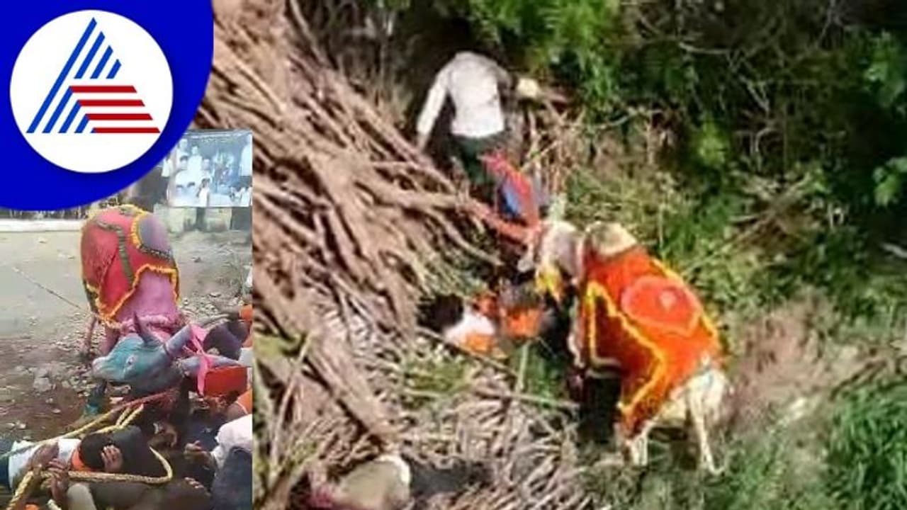 Vijayapuraದಲ್ಲಿ ಬೆಚ್ಚಿಬೀಳಿಸುವ ಕರಿ ಹೋರಿಗಳ ಓಟ! Vijayapuraದಲ್ಲಿ ಬೆಚ್ಚಿಬೀಳಿಸುವ ಕರಿ ಹೋರಿಗಳ ಓಟ!