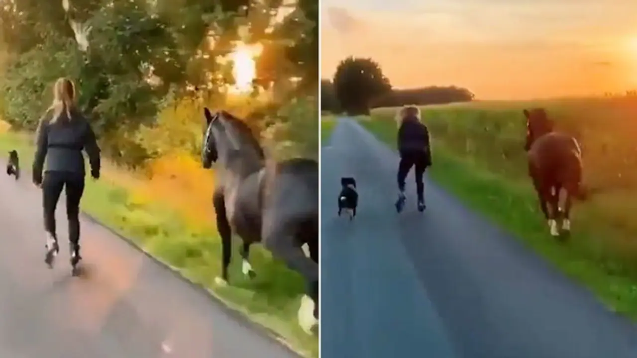 Watch: Woman skates along with pet dog and horse; Internet loves it Watch: Woman skates along with pet dog and horse; Internet loves it