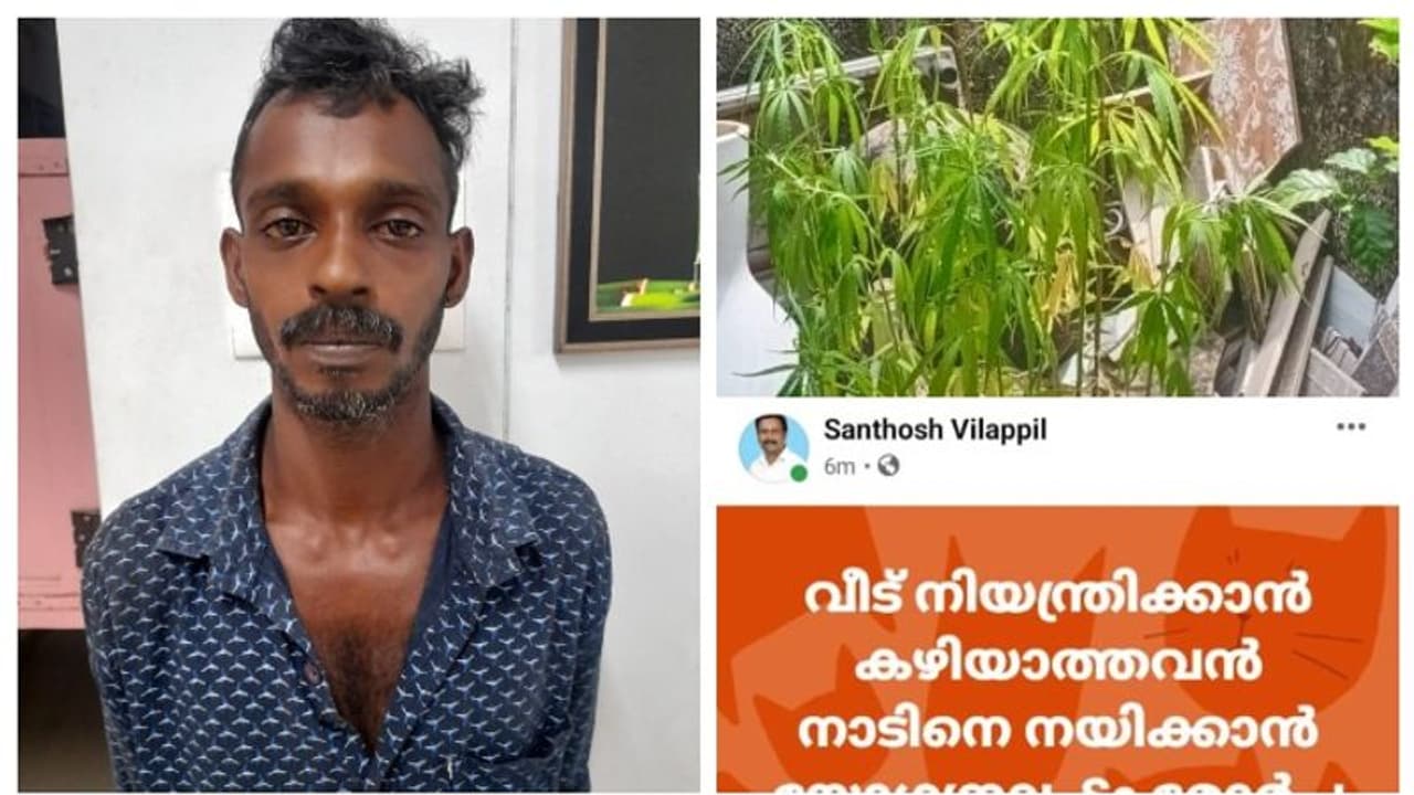 മരുമകന് വീട്ടിൽ കഞ്ചാവ് കൃഷി നടത്തി; തിരുവനന്തപുരത്ത് ബിജെപി ജില്ലാ നേതാവ് സ്ഥാനം രാജിവെച്ചു മരുമകന് വീട്ടിൽ കഞ്ചാവ് കൃഷി നടത്തി; തിരുവനന്തപുരത്ത് ബിജെപി ജില്ലാ നേതാവ് സ്ഥാനം രാജിവെച്ചു