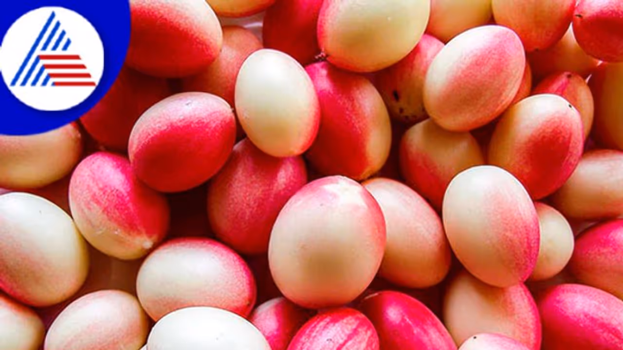 ಕರಂಡೆ ಹಣ್ಣು ತಿಂದ್ರೆ ರಕ್ತಹೀನತೆಯ ಸಮಸ್ಯೆ ಇರಲ್ಲ ಕರಂಡೆ ಹಣ್ಣು ತಿಂದ್ರೆ ರಕ್ತಹೀನತೆಯ ಸಮಸ್ಯೆ ಇರಲ್ಲ