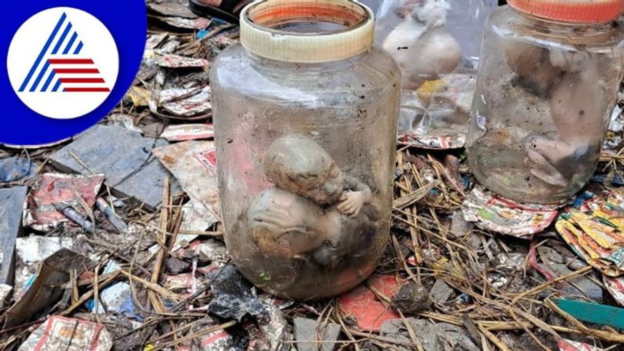 Belagavi; ಮೂಡಲಗಿ ಬಳಿ ಹಳ್ಳದಲ್ಲಿ 7 ಭ್ರೂಣಲಿಂಗ ಪತ್ತೆ! Belagavi; ಮೂಡಲಗಿ ಬಳಿ ಹಳ್ಳದಲ್ಲಿ 7 ಭ್ರೂಣಲಿಂಗ ಪತ್ತೆ!